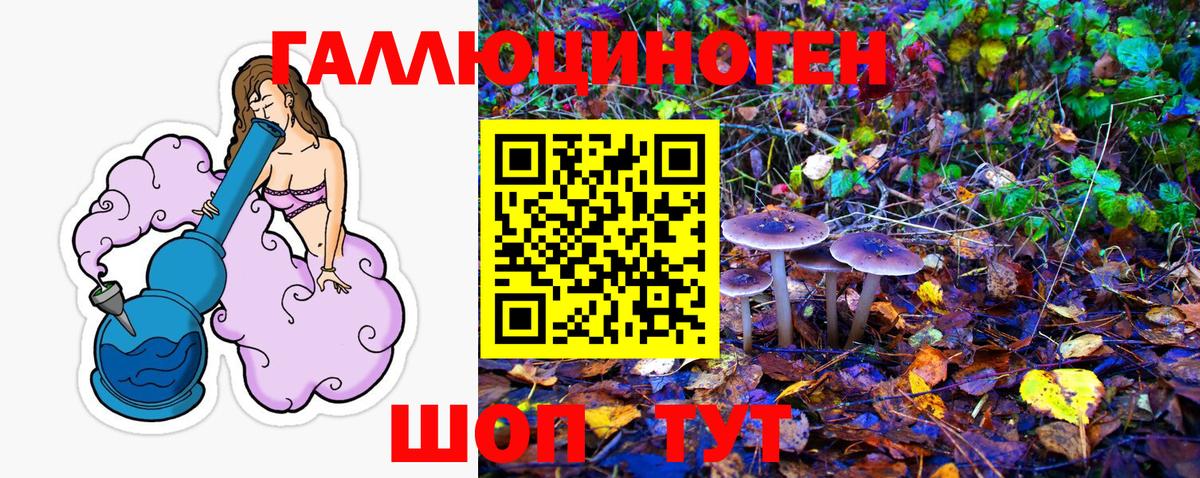 Псилоцибиновые грибы ЛСД  Галлюциногенные грибы Cubensis  Гатчина  Вход с VPN 