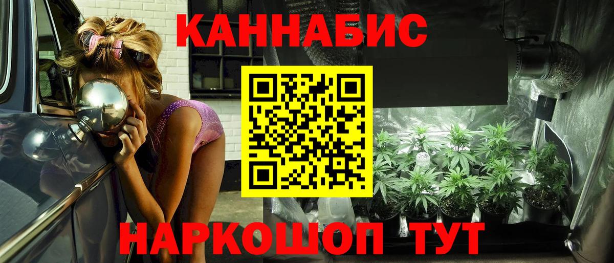 Конопля THC 21%  Вход с VPN  Гатчина  Марихуана план 